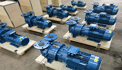 2BV Vacuum Pump for Food Industrial